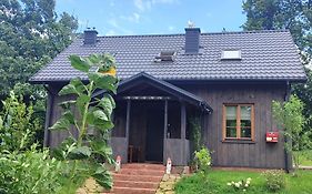 Świętokrzyskie Stodoła Kasztanowa Aleja Radkowice